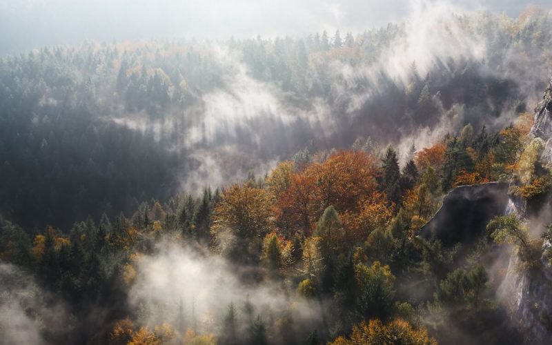 Frische Luft Asthma